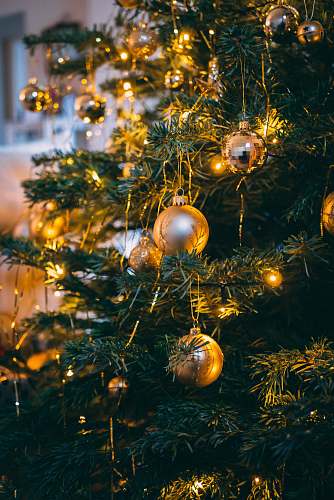 ornament selective focus photography of baubles and string lights on Christmas tree plant